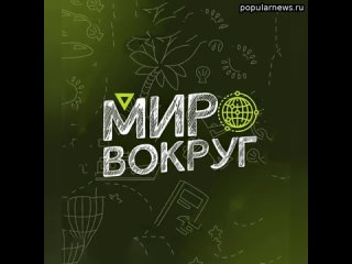 Я думал, что видел многое... ...но как я ОШИБАЛСЯ!  Канал “Мир Наизнанку“ перевернул мои представле