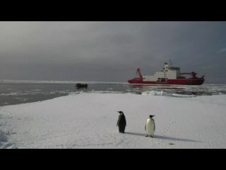 🚢 Завершилась 40-я китайская антарктическая экспедиция