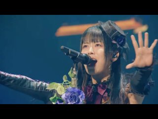 [Animelo Summer Live 2023] Roselia – ROZEN HORIZON