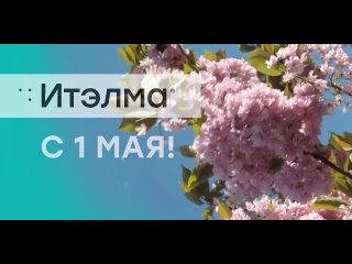 Видео от НПП ИТЭЛМА