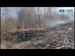 В Ивановской области за сутки пожарные 19 раз выезжали на возгорание травы
