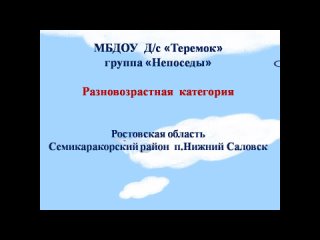 МБДОУ Д с Теремок Ростовской обл. п.Нижний Саловск