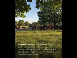 Видео от Экотуризм в Татарстане