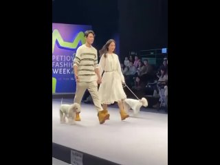 Собаки и кошки прошлись по подиуму на Неделе моды в Шанхае