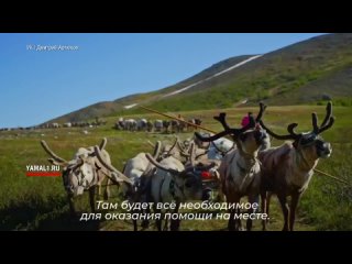 Новые меры поддержки для тундровиков вводят на Ямале