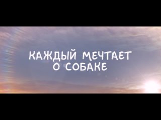 Каждый мечтает о собаке