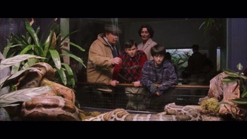 Hed lived with the Dursleys almost ten years, ten miserable years, as long as he could