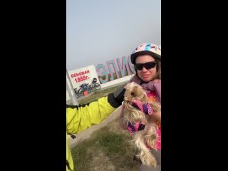 Видео от Красивая стрижка собак и кошек в Ростове-на-Дону