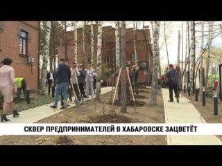 Сквер предпринимателей в Хабаровске зацветёт. Телеканал Хабаровск