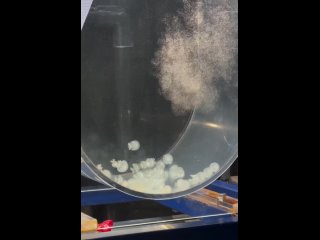Как кормят медуз