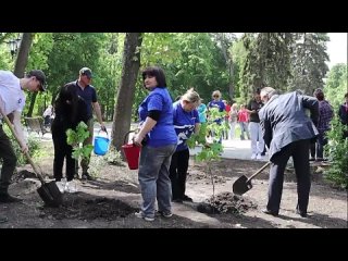 Еще один Сад Памяти заложен на территории Антрацитовского муниципального округа