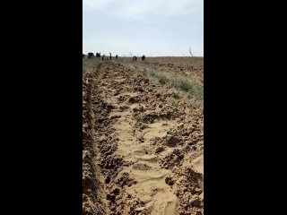 Видео от Соцзащита Волгоградская область