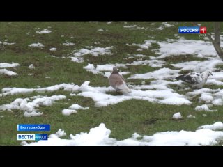В Свердловской области продолжаются восстановительные работы по устранению последствий непогоды