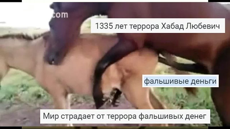 Tористы талмудисты Хабада хватит вашей ложной войны