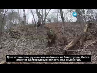 Видео: ‼️🏴‍☠️🇷🇺Враг бросил в наступление на границу России иностранных наёмников: боевики группировки Getica воюют под видом РДК