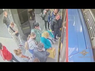 Иностранный специалист украл телефон у пассажирки на станции метро «Каховская» в Москве.