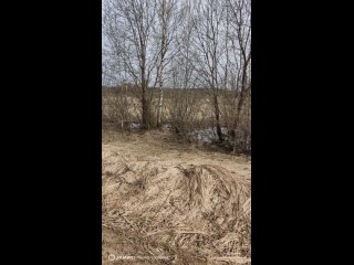 Видео от Охота в Тверской  губернии