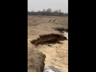 Тем временем в пойме Клязьмы. Река сама корректирует свое русло