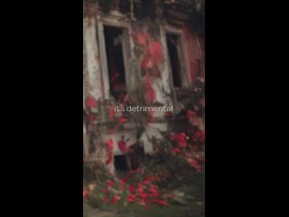 DETRIMENTAL album teaser (1) | Lit Roads