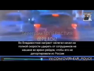 Во Владивостоке мигрант-нелегал начал на полной скорости удирать от сотрудников на машине во время рейдов