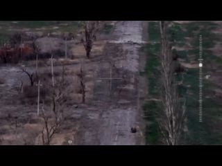 Evacuation of the body of the KIA in the direction of the city of Marinka in the Donetsk region using a wheeled robotic platform