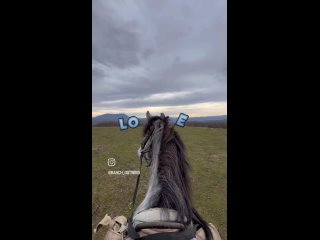 Видео от Ranch  Ostwind  Конные прогулки Краснодар