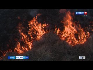 Забайкальские лесные пожарные с каждым годом сокращают площадь пожаров благодаря тушению огня в первые сутки
