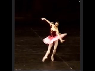 Диана Вишнёва, Павильон Армиды | Academic Dance