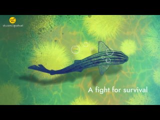 Kelp: Shark vs Octopus 2024 | Kelp - Shark vs. Octopus | Official Game Trailer Перевод