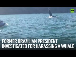 Brazils former President Bolsonaro is under investigation for allegedly harassing whales on a jet ski