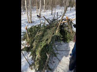 Видео от Военно-спортивный патриотический клуб “Хищник“