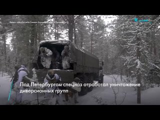 Спецназ Росгвардии проводит тактико-специальные занятия в Ленинградской области. Они отработали уничтожение диверсионных групп п