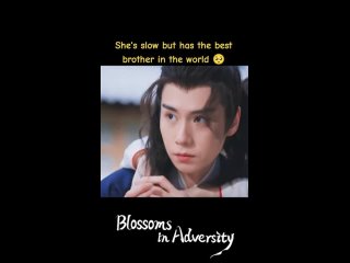 История Хуа Чжи | Blossoms in Adversity | 惜花芷 / Лучший братик