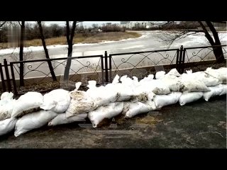 Экстренная эвакуация в Кургане и близлежащих районах из-за резкого подъёма уровня воды в реке Тобол