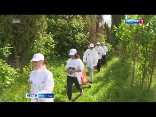 230 миллионов рублей выделят в этом году на детскую оздоровительную кампанию в Архангельской области