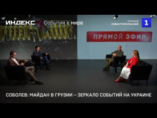 Соболев: майдан в Грузии  зеркало событий на Украине