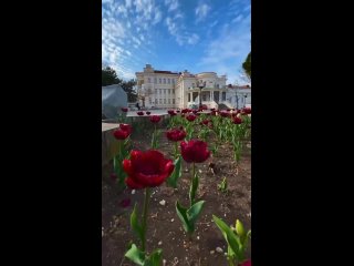 Видео от Цветы на Карла Маркса 7 в Ишиме
