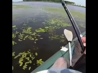 Видео от Рыбанутый