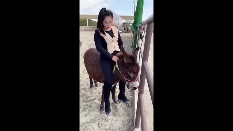 Chinese Girl Enjoys The Mom of Bliss on Her Donkey