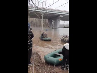 Хаски спасли из затопленного питомника в Оренбургской области