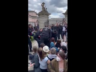 Митингующих пропалестинских студентов жестко задерживают рядом с университетом Гумбольдта в Берлине. Видео публикуют местные СМИ