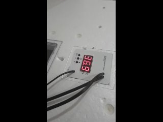 Измерение температуры в Инкубаторе Несушка с помощью Китайского Датчика