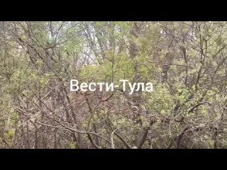 ЧП:Тульская область