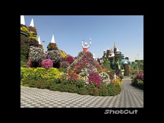 Dubai Miracle Garden. Сад чудес 💚🌷🌺🌻🌼☘️✨