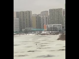 Видео от Некрасовка Старая и Новая _ М125(480p).mp4