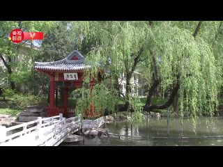 Olaf Scholz et Xi Jinping se promènent dans le parc et parlent calmement de quelque chose. Tous deux semblent de bonne humeur