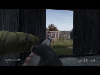 DayZ Random moments #801