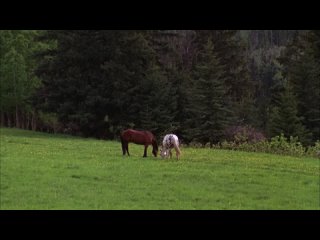 Heartland S02E02 BluRay