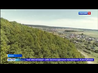 В Мордовии ведутся работы по восстановлению леса