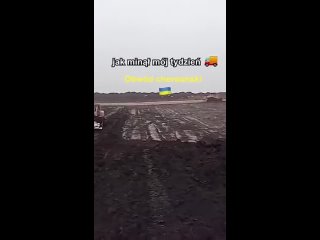 Украинский чернозем плавно перетекает в Польшу. Мародерят пока то что можно. Потом перейдут к более масштабным делам...А гнида в